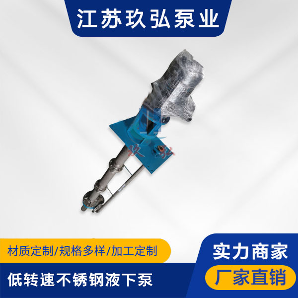 FYL低轉速不鏽鋼液下泵（bèng）(圖1)
