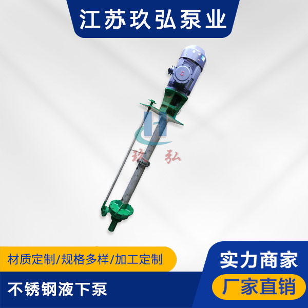 FY型不鏽鋼液下泵(圖1)