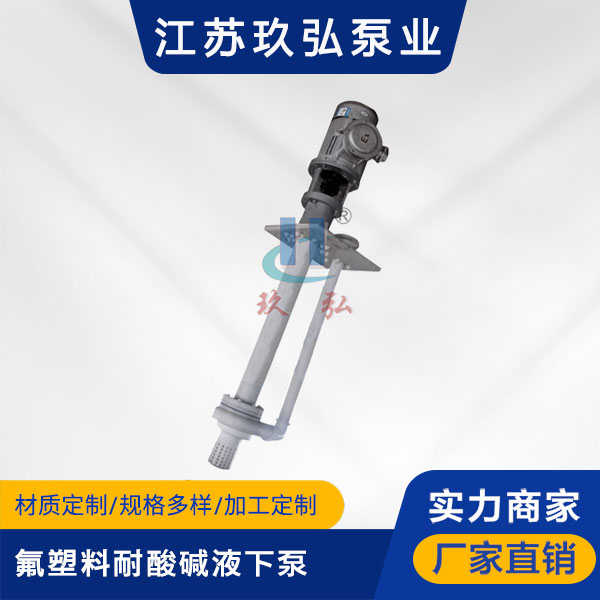 FYS氟塑料耐酸堿液下泵(圖1) FYS氟塑料耐酸堿液下泵(圖1)