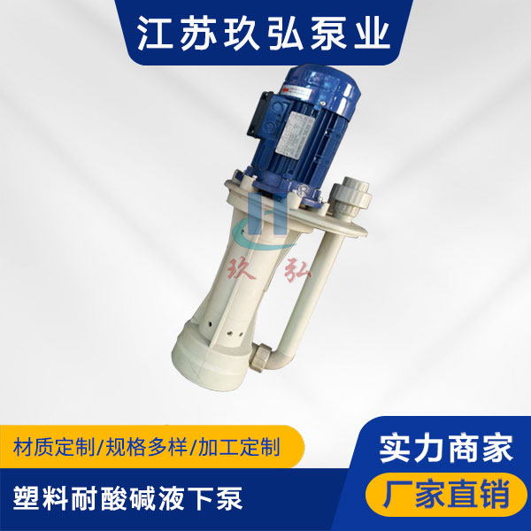 TPT塑（sù）料耐（nài）酸堿液下泵(圖1)