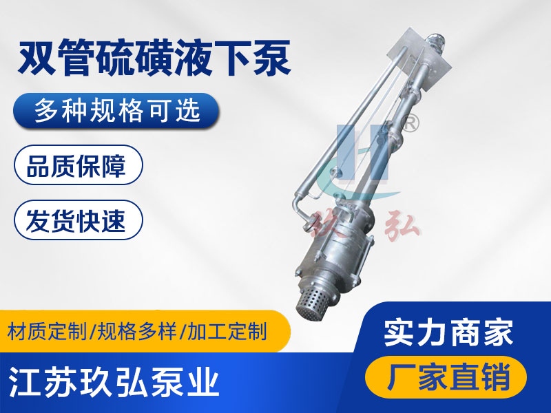 DLY雙管耐（nài）高溫硫磺液下泵(圖1)