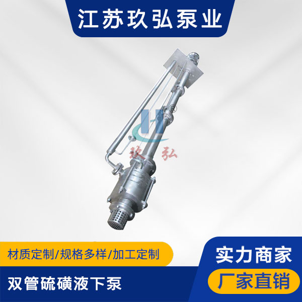 DLY雙管硫磺液下泵(圖1) DLY雙(shuāng)管硫(liú)磺液下泵(圖1)