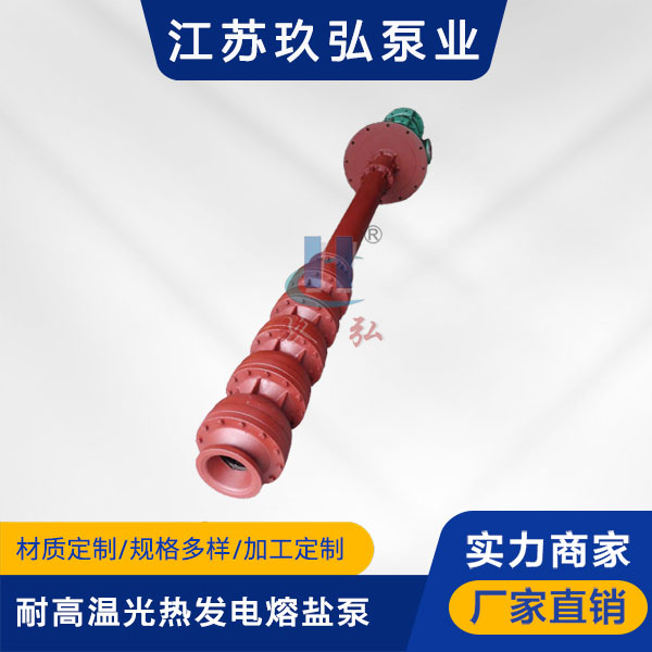 RY光熱發電熔（róng）鹽液下泵(圖1)