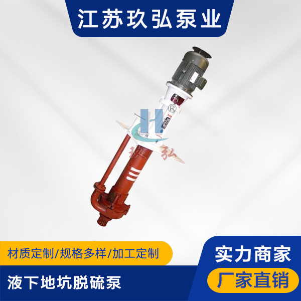 PLC液下地坑脫硫（liú）泵（bèng）(圖1)