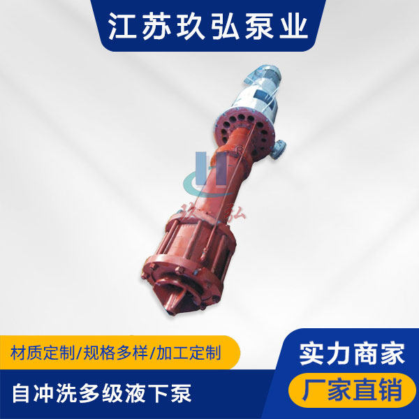 DLY自衝洗多級液下（xià）泵(圖1)