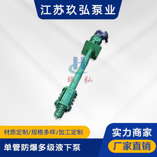 DLY單管防爆多級液下泵(圖（tú）1)