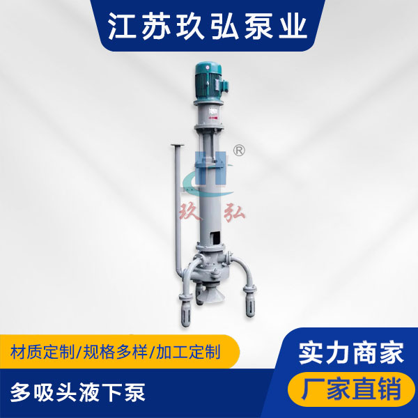 PW型多吸頭液下（xià）泵(圖1)