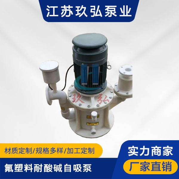 WFB氟塑料耐酸堿型（xíng）自控自吸泵(圖1)