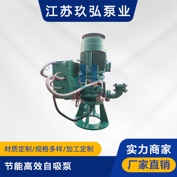 GLB高效節能自控自吸泵(圖1)