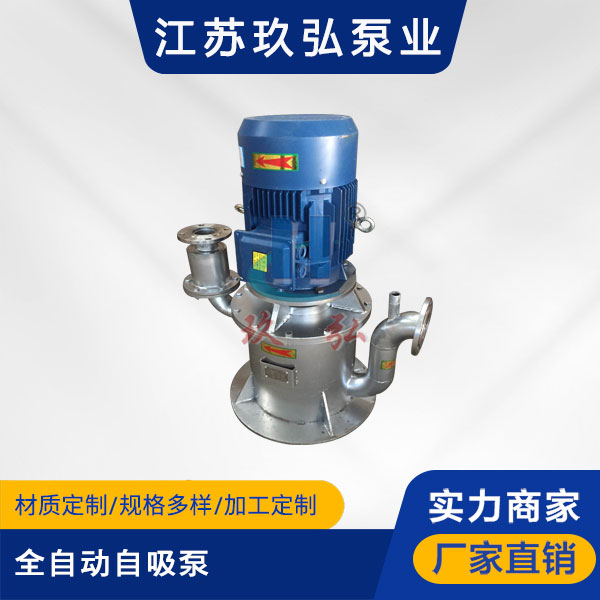 WFB全（quán）自動自吸泵(圖1)