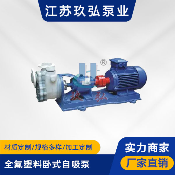 FZB全氟塑料臥式自吸泵（bèng）(圖（tú）1)