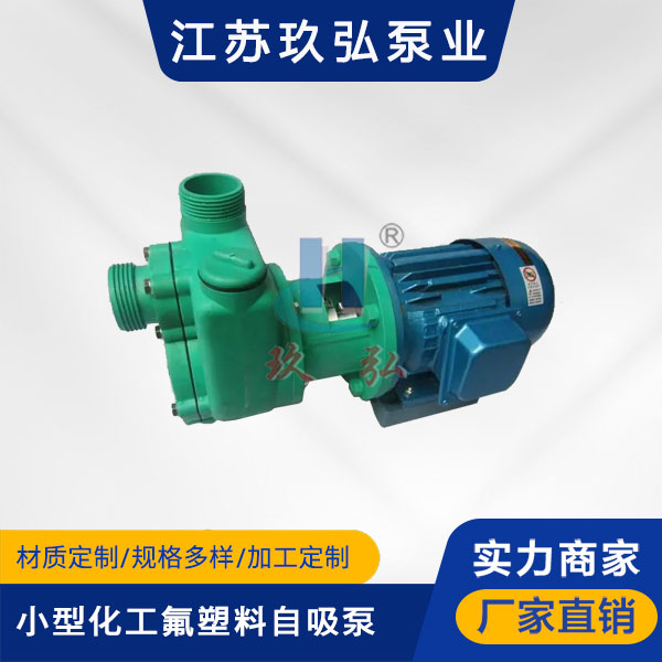 102小（xiǎo）型化工氟塑料自吸泵（bèng）(圖1)