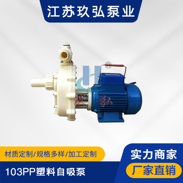 103PP塑料自吸（xī）泵(圖（tú）1)