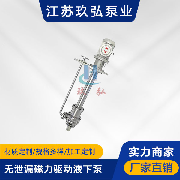 HYC無泄漏（lòu）磁（cí）力驅動（dòng）液下泵(圖1)