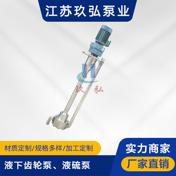 ATY液下齒輪泵、液硫泵(圖1) ATY液下(xià)齒輪(lún)泵、液硫泵(圖1)