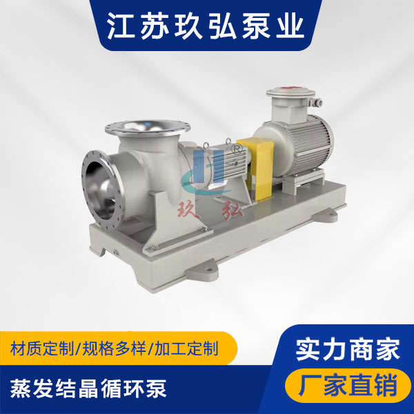 FJX蒸發結晶循環泵(bèng)(圖1) FJX蒸發結(jié)晶循環泵(圖1)