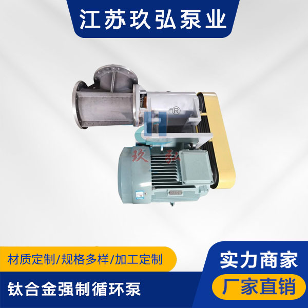 FJX-Ⅱ型（xíng）鈦合金（jīn）強製循環（huán）泵(圖1)