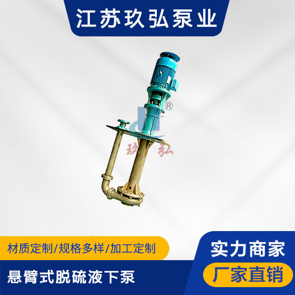 PLC懸臂式脫硫液下泵(圖1)