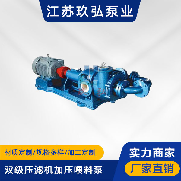 HFM-2型雙級壓濾機加壓喂料泵(圖1)