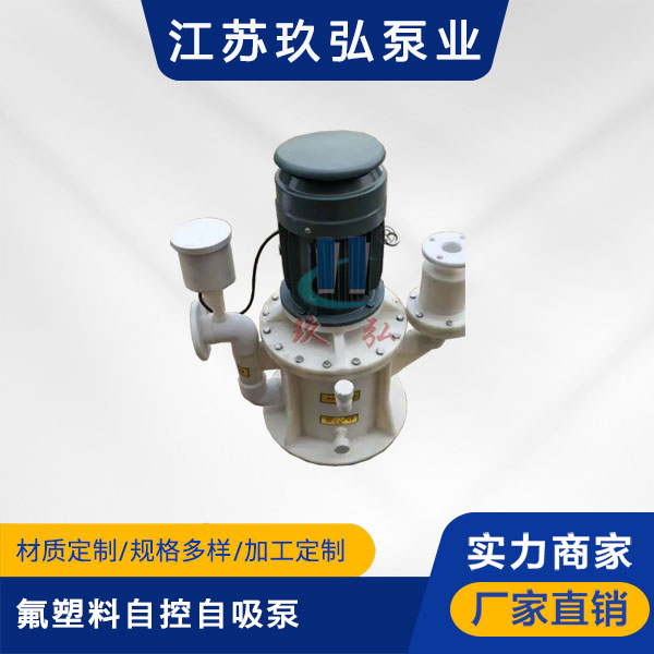 WFB氟塑料自控自吸泵(圖1)