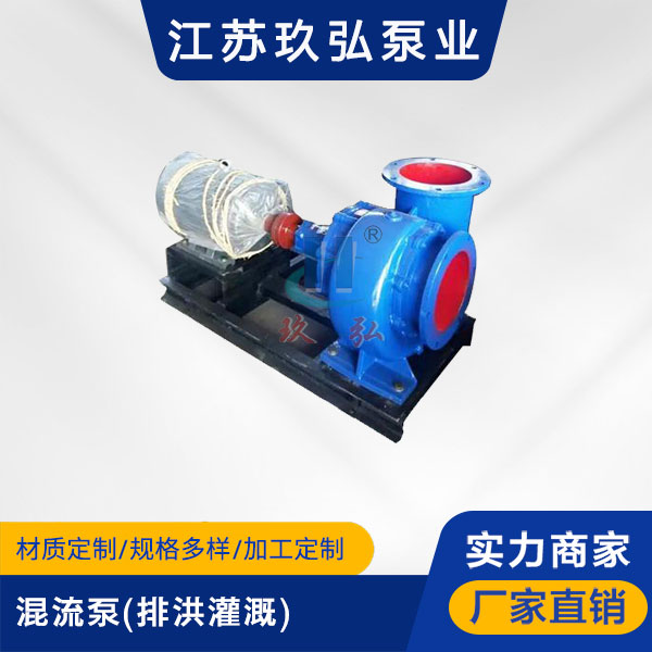 HW型混流泵(排洪（hóng）灌溉（gài）)(圖1)