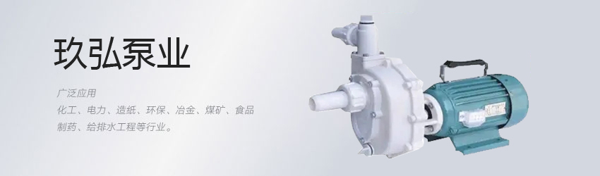 自控自吸泵